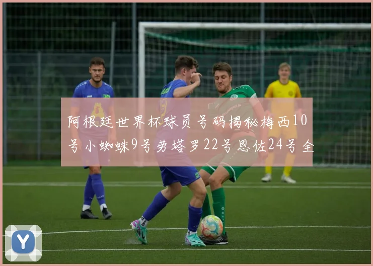 阿根廷世界杯球员号码揭秘梅西10号小蜘蛛9号劳塔罗22号恩佐24号全解析